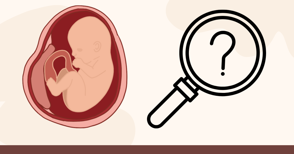 How Pregnant Am I? A Complete Guide to Calculating Gestational Age