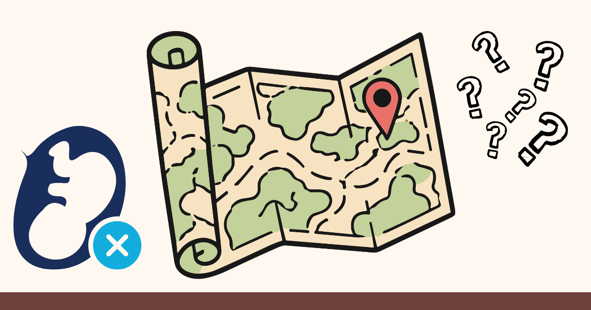 What to Do If Your Local Abortion Clinic Closed