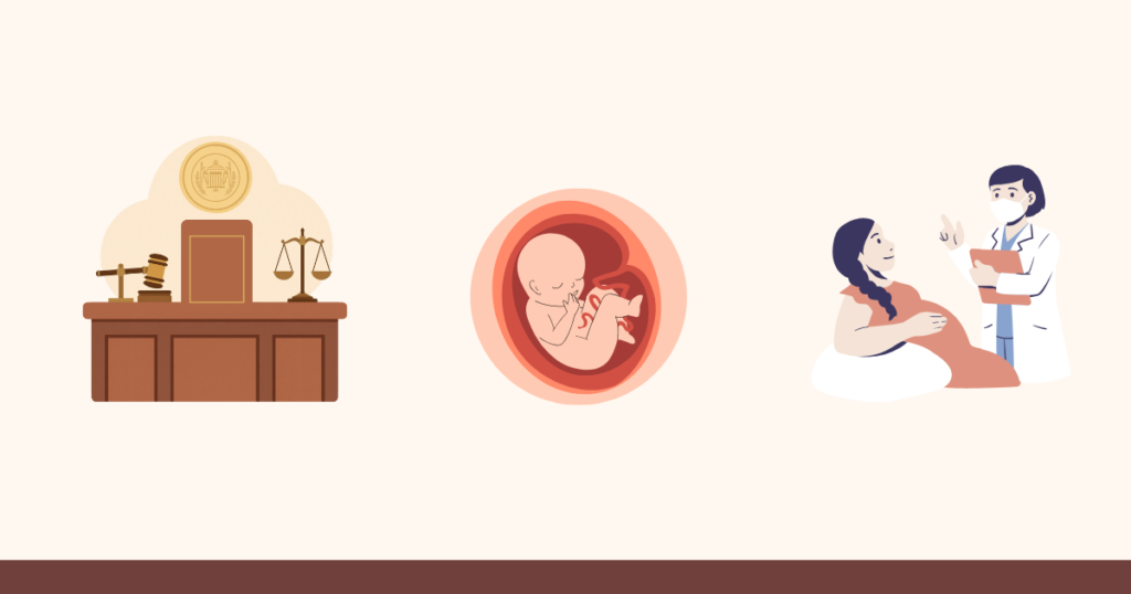 The Rise of Shield Law States for Abortion Access