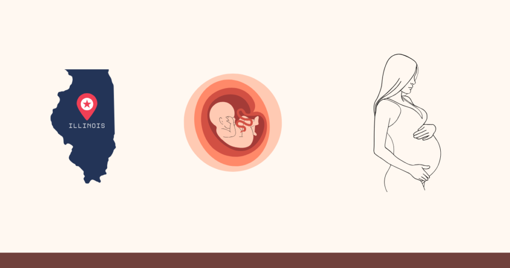 Why Illinois Has Become America’s Abortion Access Hub