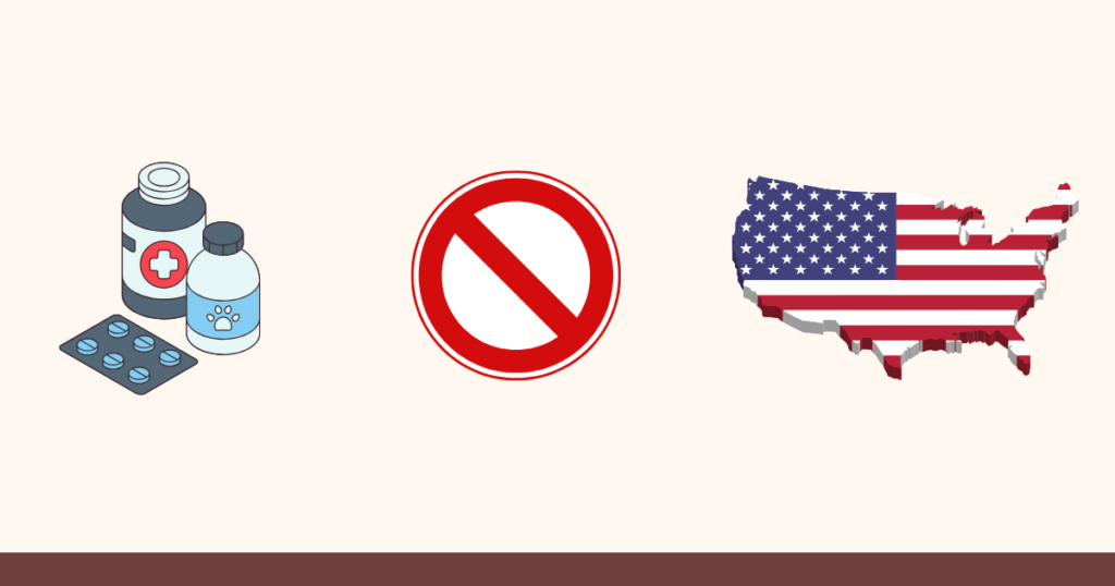 Why Medication Abortion Continues to Rise Despite U.S. State Bans?