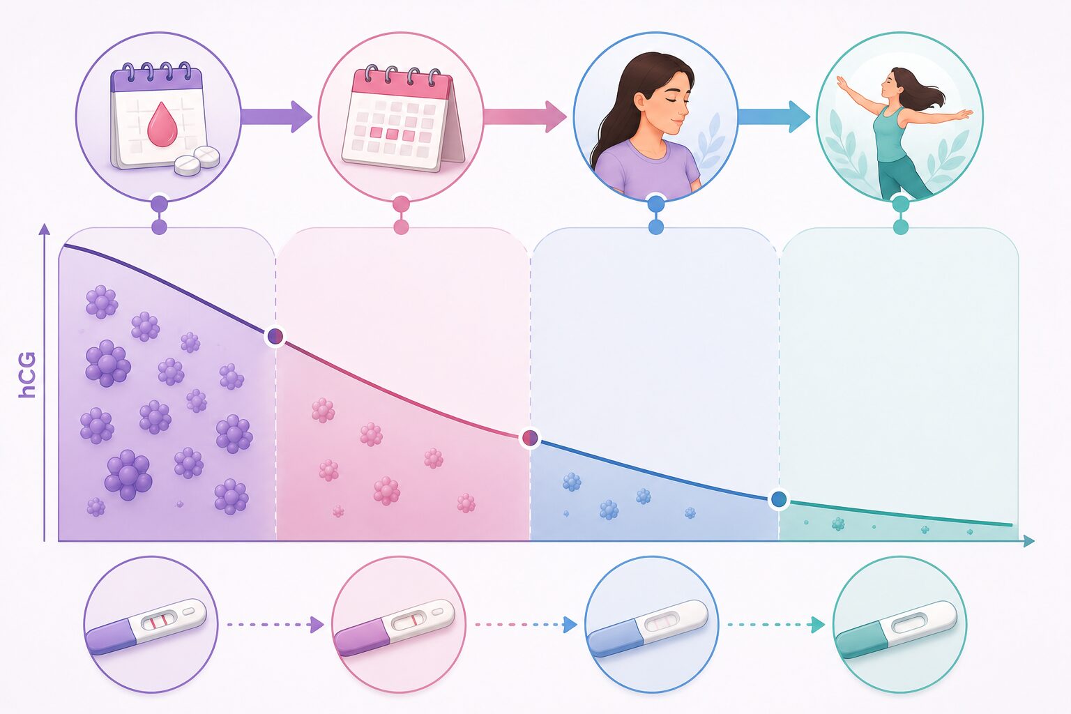 How Long Does hCG Stay in Your Body After Abortion?