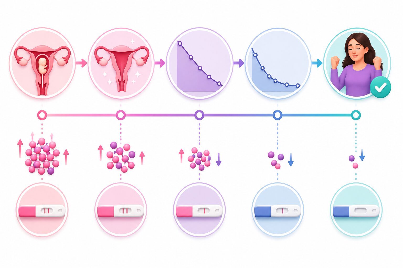 Understanding hCG After Abortion