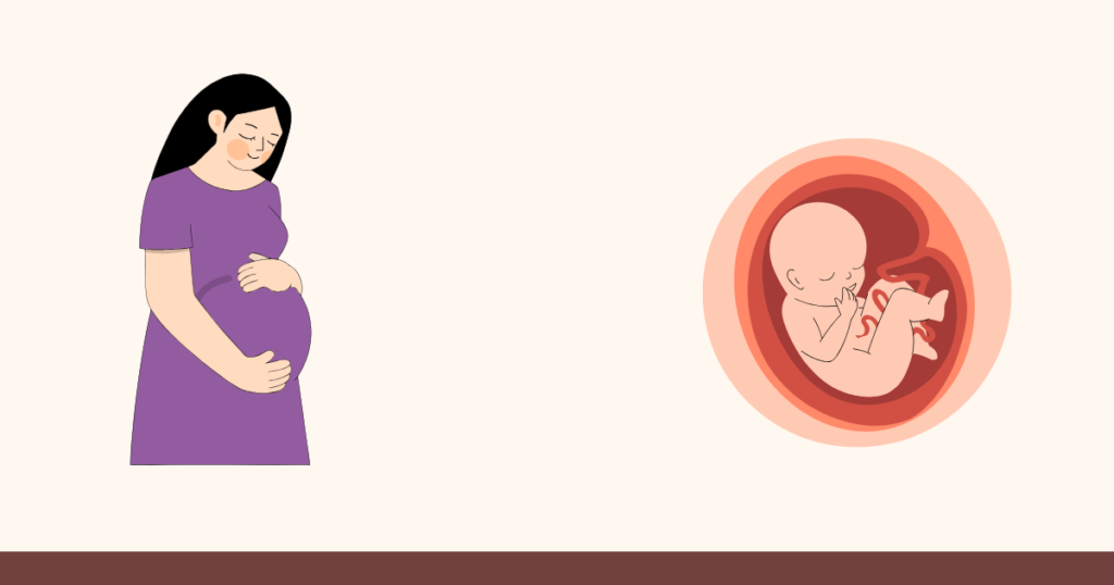 Why Pregnancy Symptoms Can Continue After Abortion | A Complete Guide