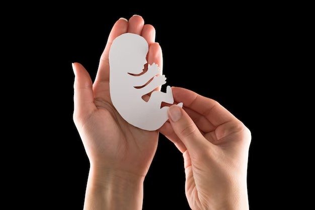 Do you see the baby during an abortion?
