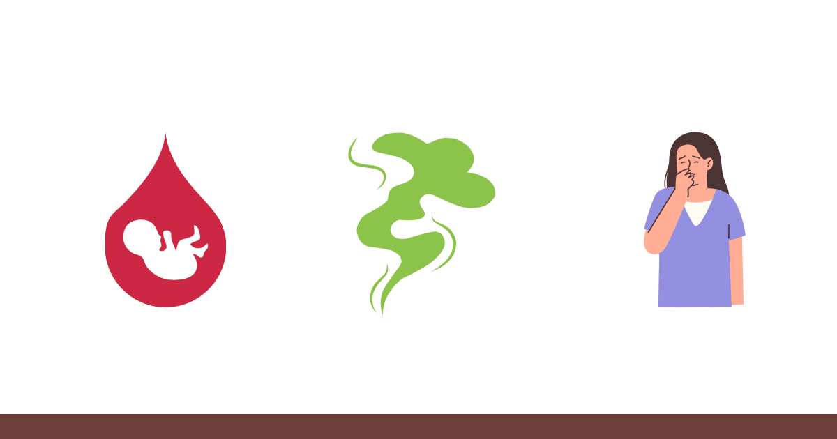 Bad Smell After Abortion: Causes and When to Get Help