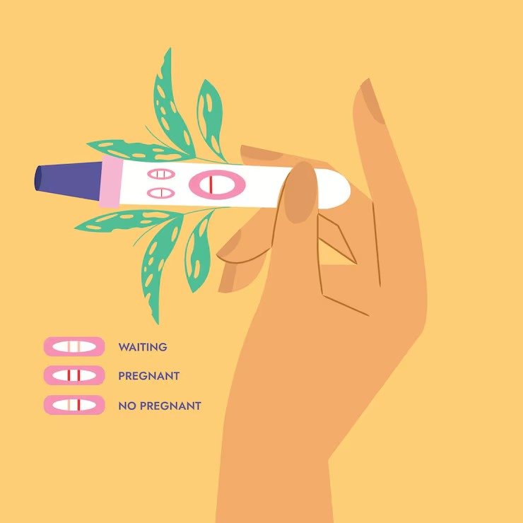 Can a 6 week pregnancy be aborted?
