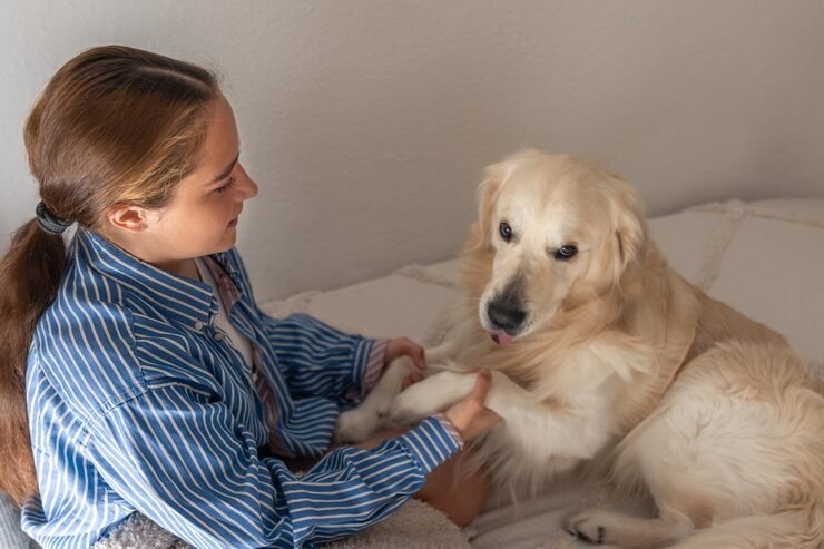 What If I Have Pets Around During a Pill Abortion?