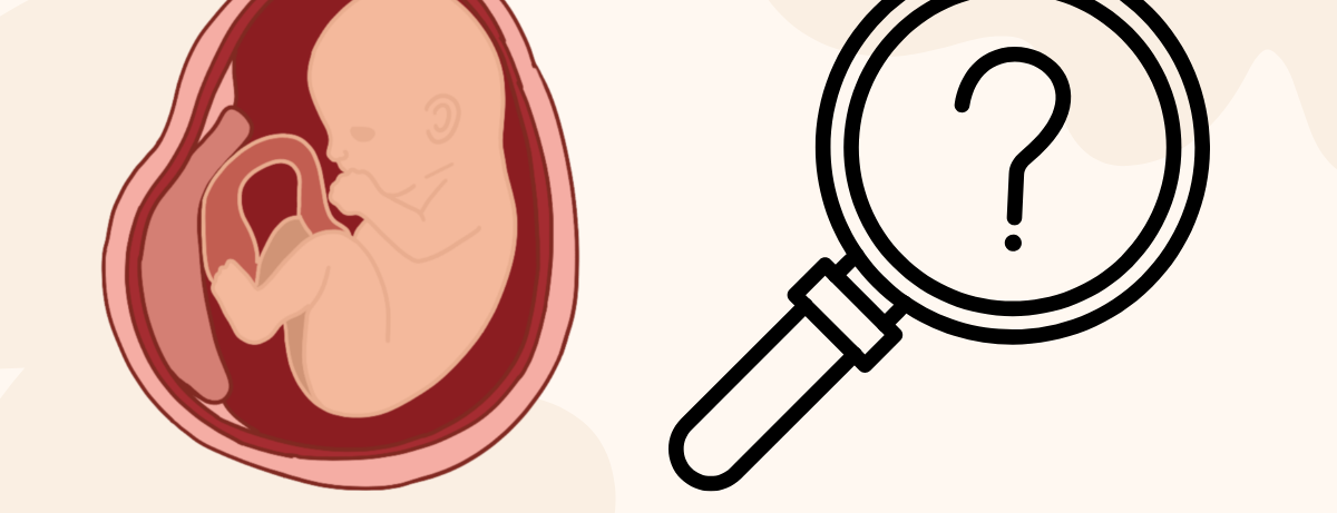 How Pregnant Am I? A Complete Guide to Calculating Gestational Age