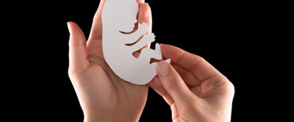 Do you see the baby during an abortion?