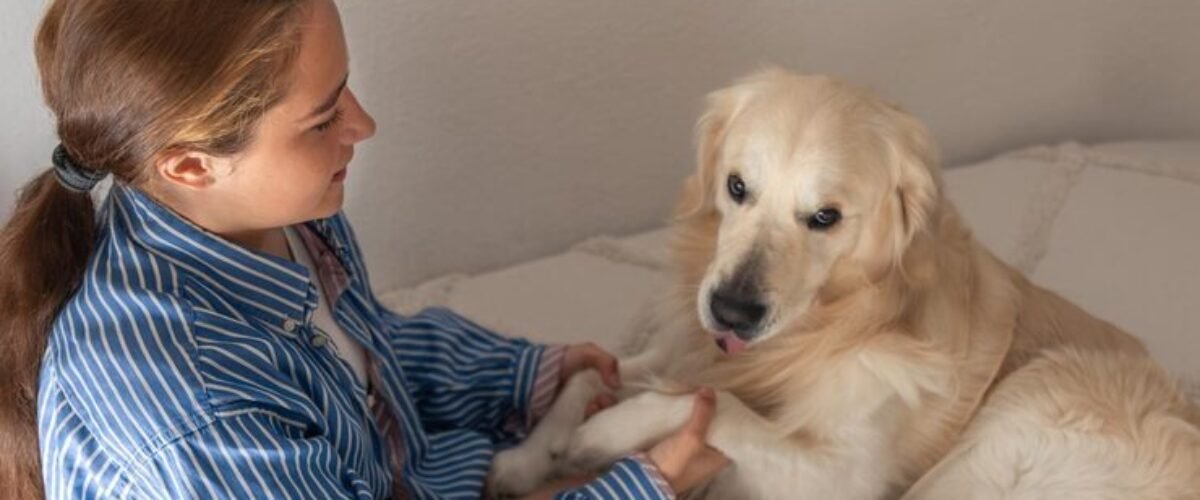 What If I Have Pets Around During a Pill Abortion?